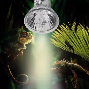 LAMPARA TIPO DICROICO PARA INCUBADORA, SERPENTARIO, AVIARIO, 25-50-75 WATTS / 110 VOLTS